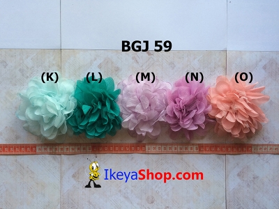 BGJ 59 K O  large2